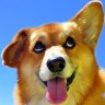 Avatar Of Mikegiel