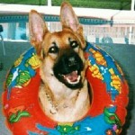 Avatar Of Tjhuth