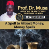 Avatar Of Profmusa
