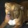 Avatar Of Doublenickel55