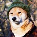 Avatar Of Lorrybane