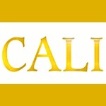 Forum 2 Avatar Of Caliluna