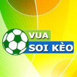 Forum 2 Avatar Of Vuasoikeo