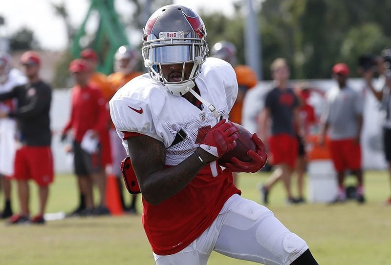 Bucs Wr Desean Jackson - Photo By Mark Lomoglio