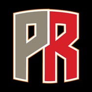 Pewter Report logo