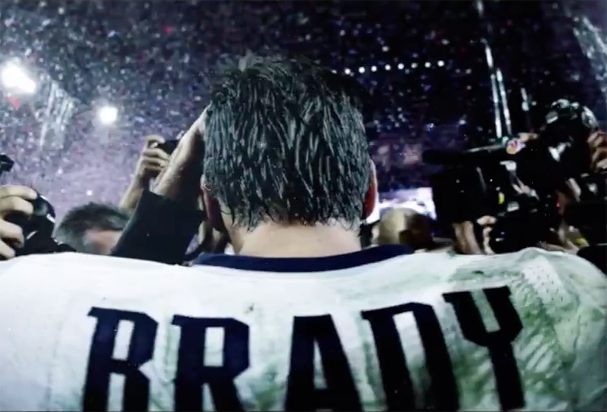 Bradydoc