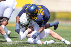 Pewterreport.com’s 2021 Draft Preview + Bucs’ Best Bets: Dts 7 West Virginia Dt Darius Stills Nfl Draft