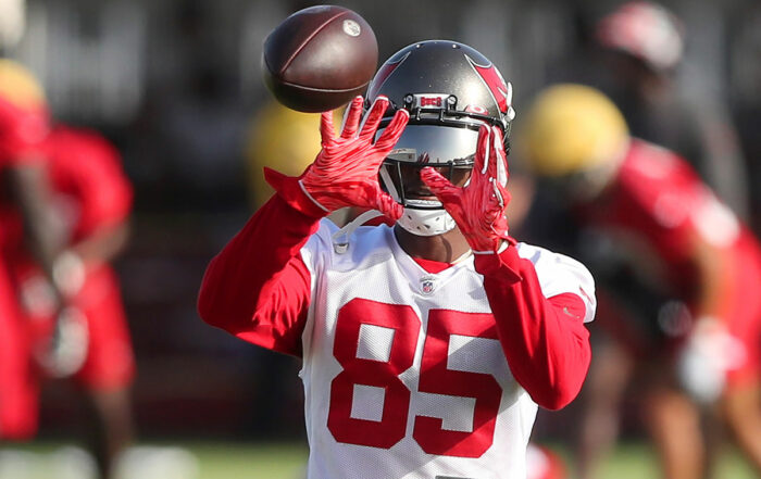 Bucs Wr Julio Jones