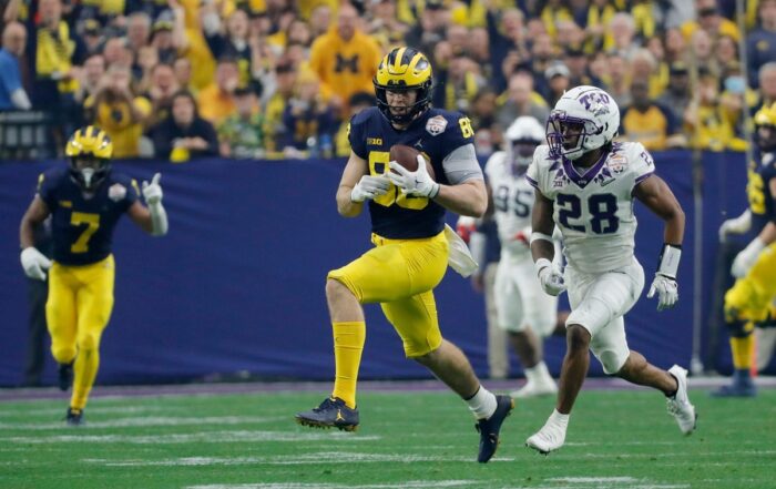 Michigan Te Luke Schoonmaker Bucs