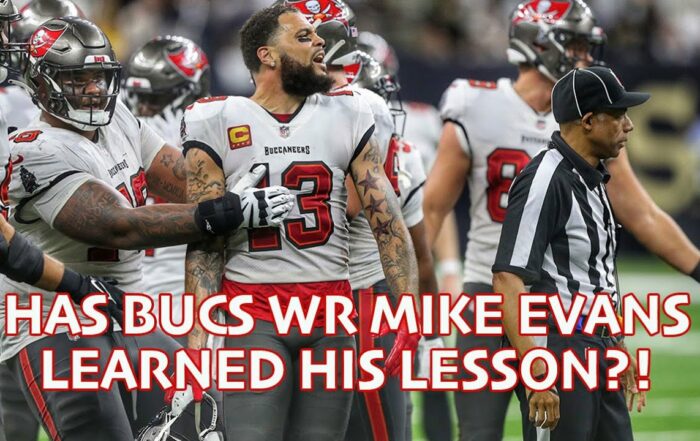Bucs Pewter Pulse Mike Evans