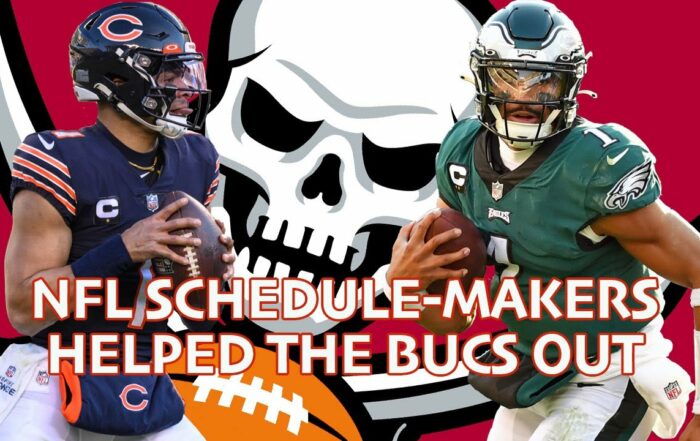 Bucs Pewter Pulse