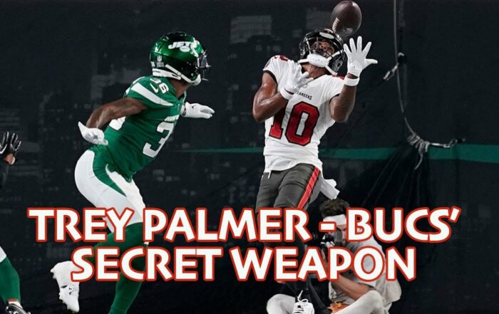 Pewter Pulse Bucs Trey Palmer
