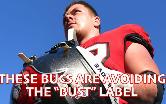 Bucs Pewter Pulse