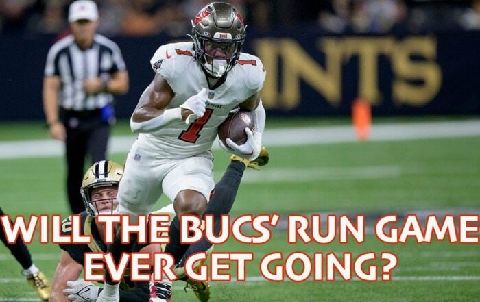 Bucs Pewter Pulse
